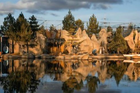 Дивіться, який парк відкрили під Києвом з кав'ярнею та будиночками в англійському стилі