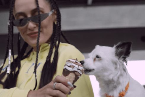 Смотрите рекламу про адопцию бездомных животных с Alyona Alyona, Alina Pash и Стасіком