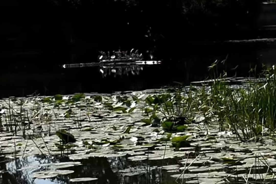 Озеро "Підбірне" на Осокорках забруднили побутовими відходами