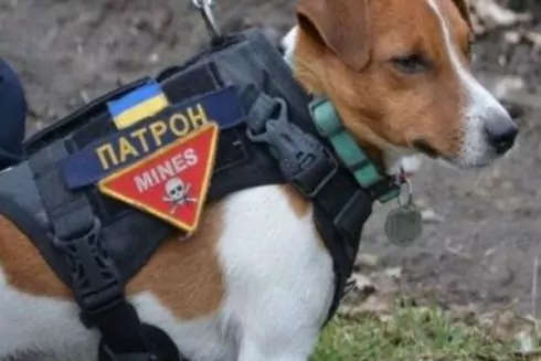 Вместо памятника Пушкину предлагают установить пса Патрона - петиция