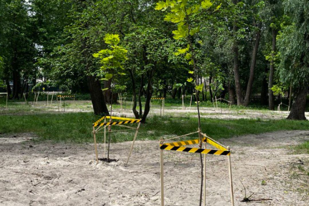 На Прирічній, де хочуть побудувати паркінг, активісти висадили 15 дерев