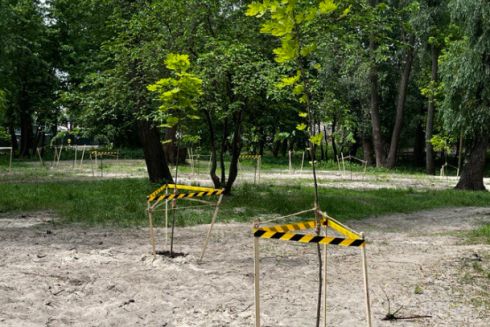 На Прирічній, де хочуть побудувати паркінг, активісти висадили 15 дерев