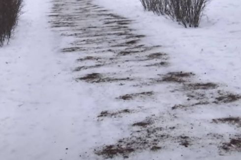 В Ирпене дороги от гололеда посыпают кофе вместо соли