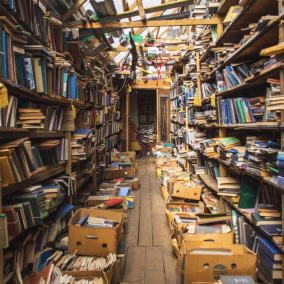Книжный рынок «Петровка» обещают реконструировать, а не сносить