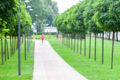 На Дарниці замість паркувального майданчика облаштують новий сквер