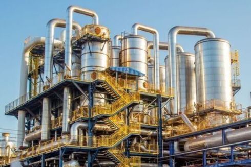 ОККО відкриє завод по виробництву палива з кукурудзи: для чого воно потрібно