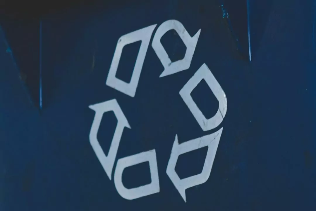 У Києві запрацював кур'єрський сервіс Recycle із вивезення сортованого сміття: як він працює