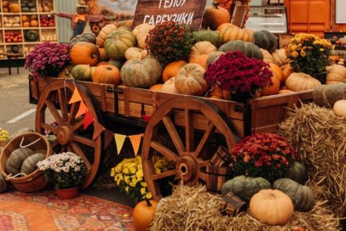 У Києві проходить фестиваль від «Сільпо» з «музеєм» гарбузів, фотозонами й фудкортами