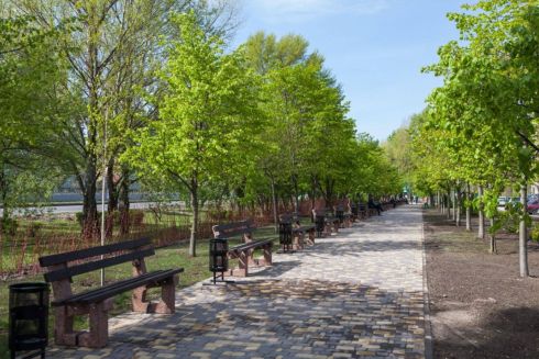 Киевляне могут самостоятельно инициировать создание скверов