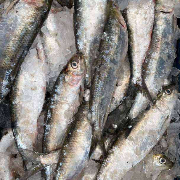 Сезон дунайки: Кілька рецептів від бессарабського шефа Андрія Величка