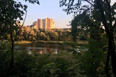 На Соломенке обустроят заказник «Совская пронька». Киевлян просят присылать предложения