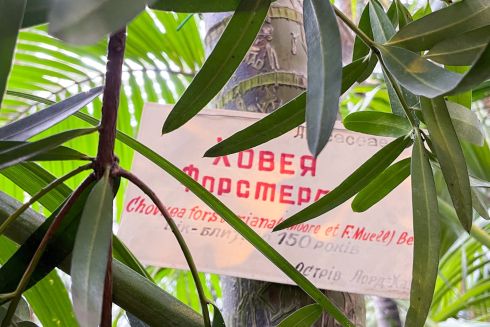 Куди піти у Києві 8&ndash;9 листопада: афіша для тих, хто втомився від шуму