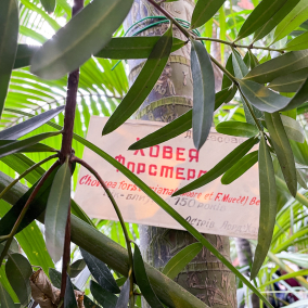 Куди піти у Києві 8–9 листопада: афіша для тих, хто втомився від шуму