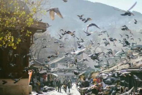 Где есть, пить и развлекаться в Сараево