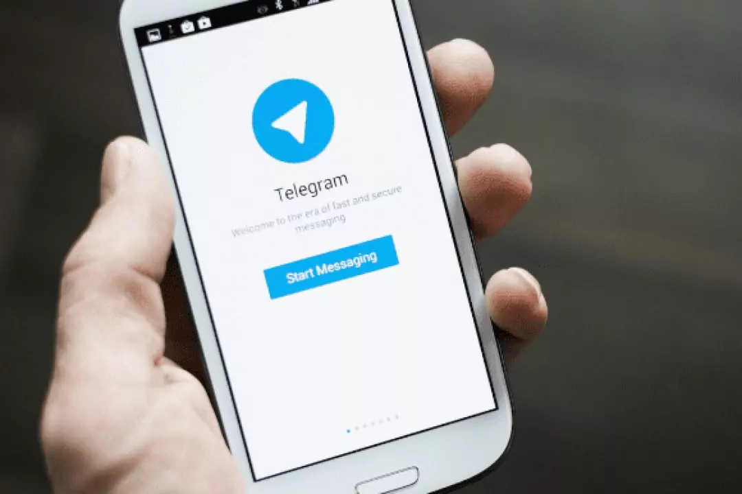 Появился мурлыкающий Telegram-бот для отслеживания дешевых автобусных билетов