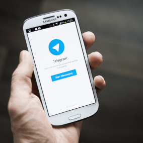 Появился мурлыкающий Telegram-бот для отслеживания дешевых автобусных билетов