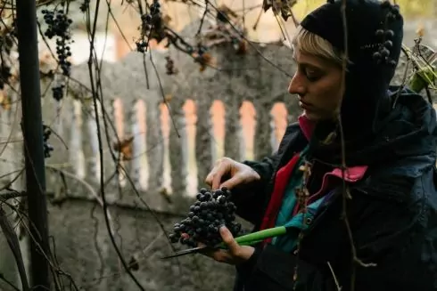 &laquo;Деокупаж&raquo;: Как киевляне создают вино, чтобы помочь отстроить Изюм