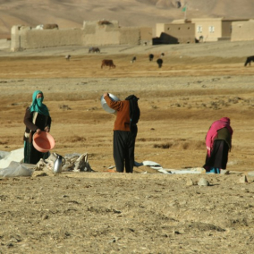 В Афганістані повністю відключили інтернет «для запобігання пороку»