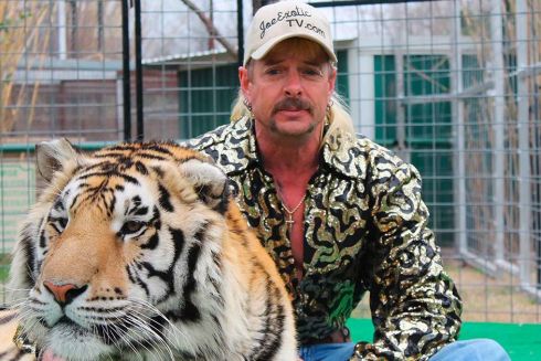 Кіно на БЖ: 13 серіалів листопада