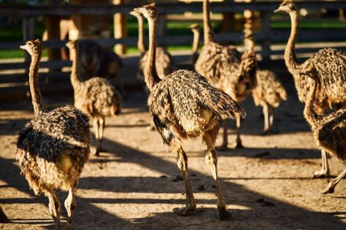 Лучшее за неделю: Самые громкие концерты 2022 и гастролокации в пригороде Киева