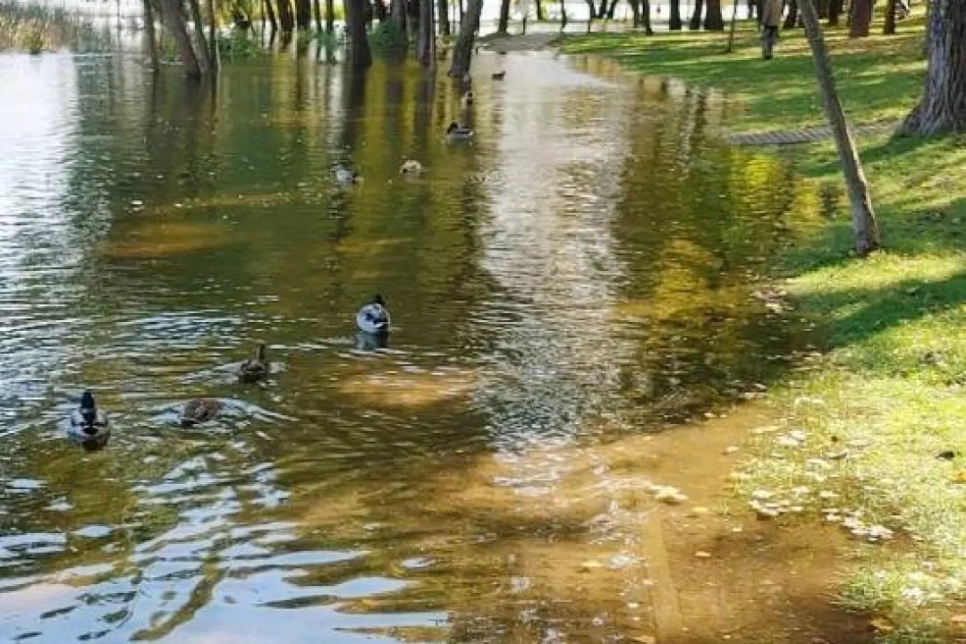 На Оболоні підтопило парк &ldquo;Наталка&rdquo;: фото