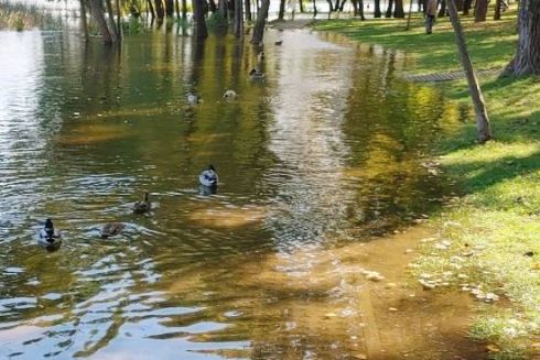 На Оболоні підтопило парк “Наталка”: фото