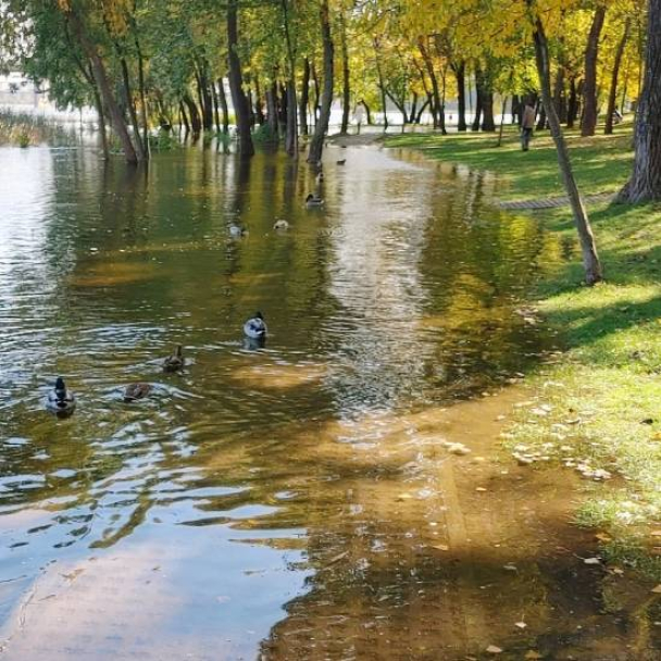 На Оболоні підтопило парк “Наталка”: фото
