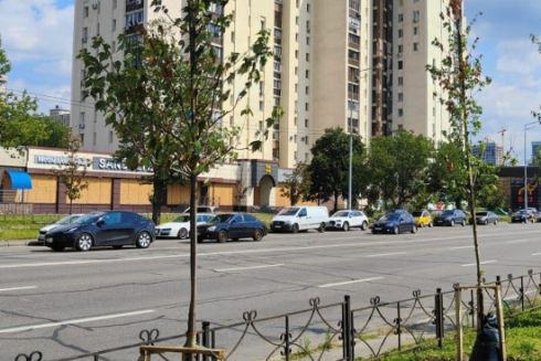 У Києві тестують торби для поливу дерев: чим вони корисні