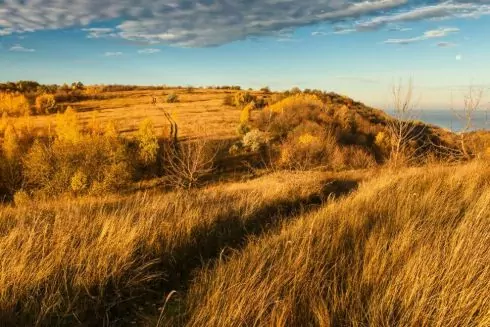 Землі ландшафтного парку &laquo;Трахтемирів&raquo; на Київщині вартістю понад 50 мільйонів повернули державі