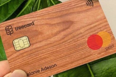 Британский стартап создал деревянную платежную карту. Часть прибыли пойдет на восстановление лесов