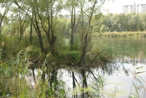 Суд вернул земли заказника &laquo;Троещинские луга&raquo; громаде Киева
