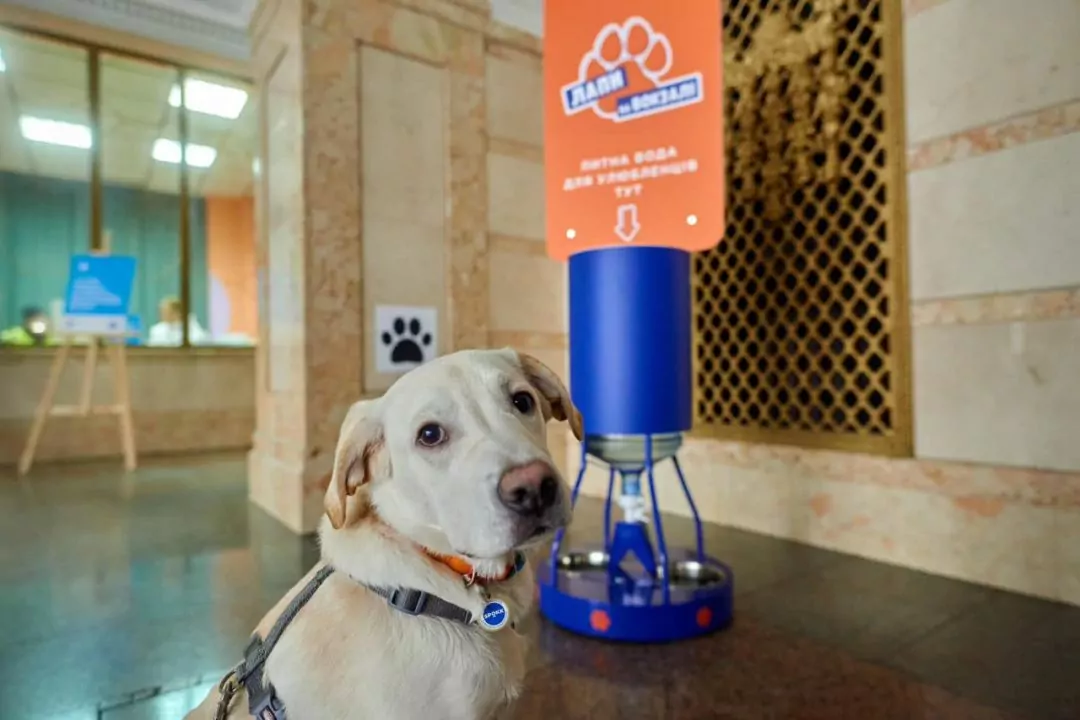 10 украинских вокзалов становятся pet-friendly: фото