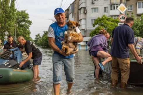 Patron Pet Center на ВДНХ приютит домашних животных из зоны бедствия на Херсонщине