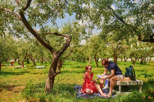 Куди сходити у Києві: концерти, кінопокази і благодійний фестиваль