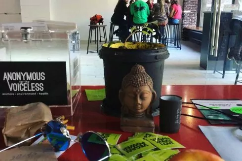 В Киеве открывается веган хаб: фудкорт и Zero Waste магазин