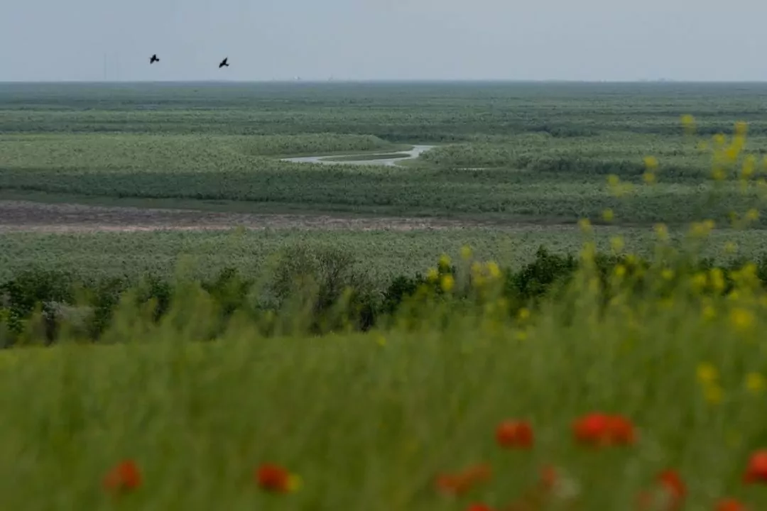 Великий Луг на місці водосховища Каховської ГЕС закликають внести до списку ЮНЕСКО