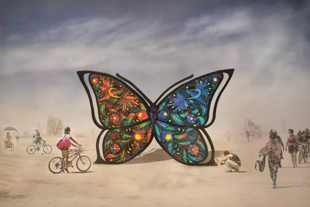 Украинцы везут на Burning Man трехметровую бабочку