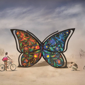 Украинцы везут на Burning Man трехметровую бабочку