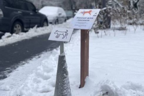 В киевском сквере поставили «писсуар для собак»: как это поможет сберечь растения