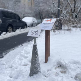 У київському сквері поставили «пісуар для собак»: як це допоможе зберегти рослини