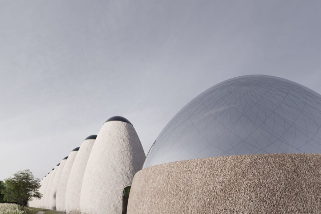 На Київщині побудують артпростір імені Марії Примаченко: дивіться перші візуалізації