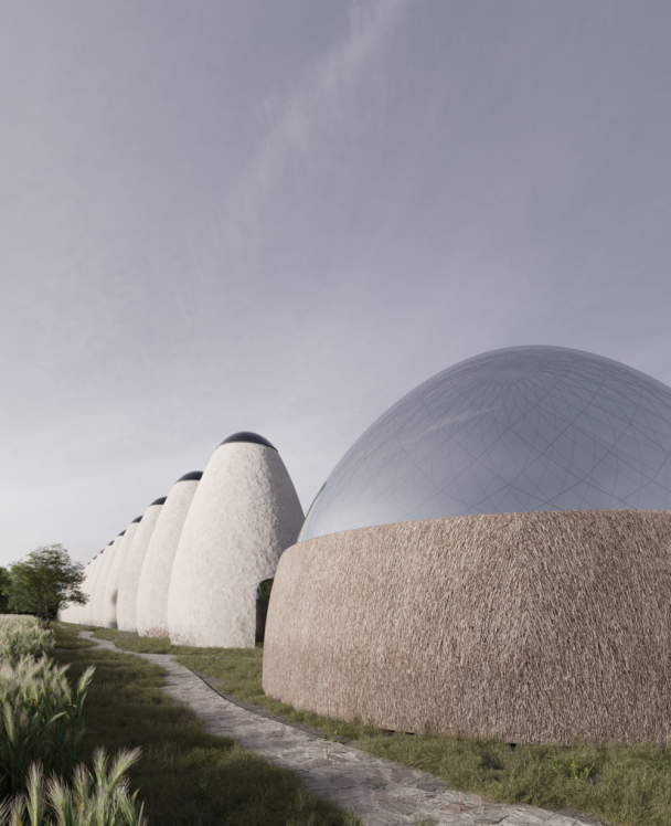 На Київщині побудують артпростір імені Марії Примаченко: дивіться перші візуалізації