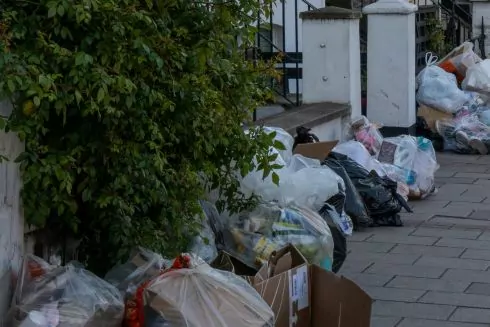 Сестри з Києва розробили проєкт роботизованої станції, яка сортує сміття за допомогою нейромереж