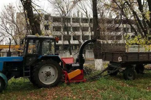 Кияни вимагають розформувати «Київзеленбуд»: що сталося