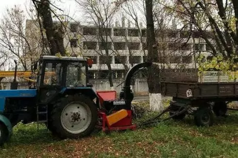 Кияни вимагають розформувати &laquo;Київзеленбуд&raquo;: що сталося