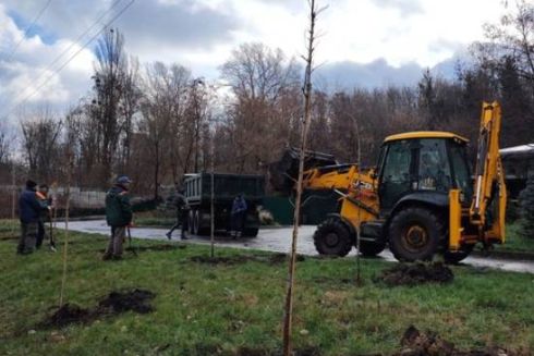 У Солом’янському ландшафтному парку почали висадку кленової алеї