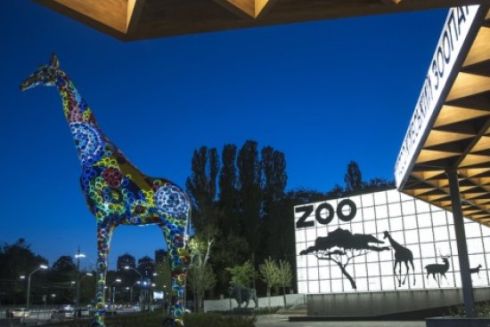 Во время реконструкции Киевского зоопарка украли 2 млн. гривен