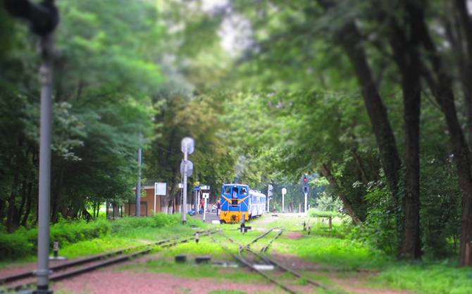 сырецкий парк