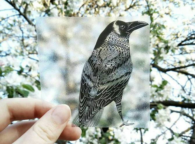SILsticker