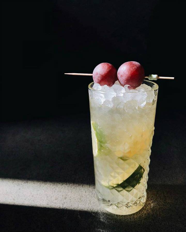 Dogs & Tails_Caipirinha